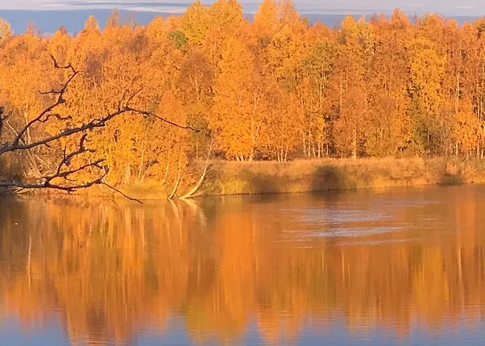 Villa Luxus Tiny House Saagala